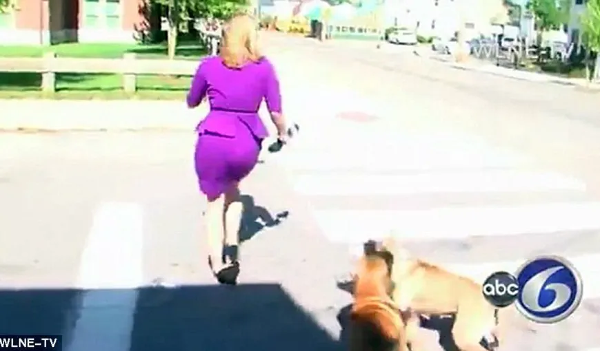 Jurnalişti, puşi pe fugă după ce o femeie nervoasă a pus câinii pe ei VIDEO