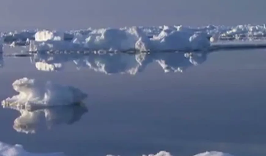 Captivi în Oceanul Arctic: 30 turişti şi vânători, blocaţi pe o banchiză ce pluteşte în derivă