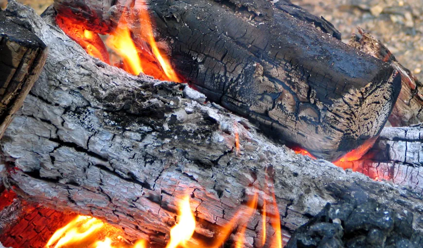Incendiu puternic în Capitală: Focul a izbucnit la un depozit de lemne