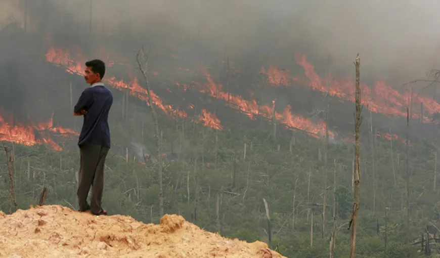 Incendii masive de pădure în Sumatra. Singapore şi Malaysia, acoperite de smog