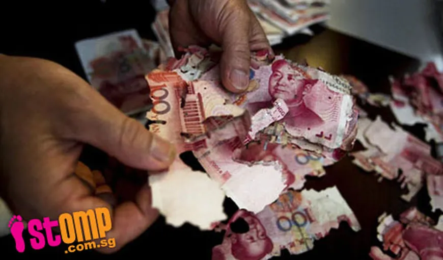 Bani albi pentru zile negre? Averea unei bătrâne din China a fost „tocată” de TERMITE