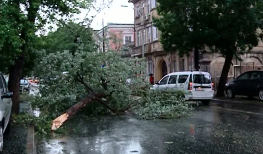 Rupere de nori în Bucureşti: 20 de copaci şi un stâlp de electricitate, doborâţi de furtună