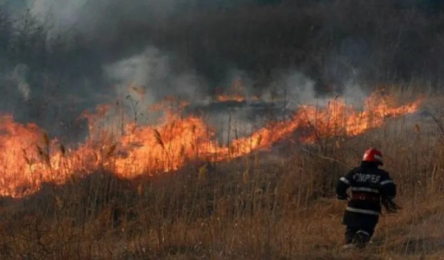 Incendiu puternic în Geoparcul Platoul Mehedinţi. Zeci de pompieri au intervenit să stingă focul