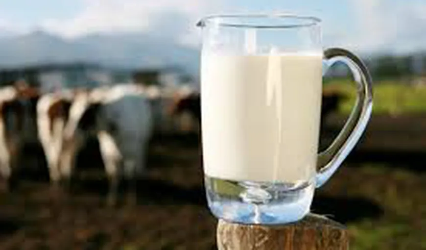 Controale inopinate la producătorii de lapte. Vezi firmele vizate