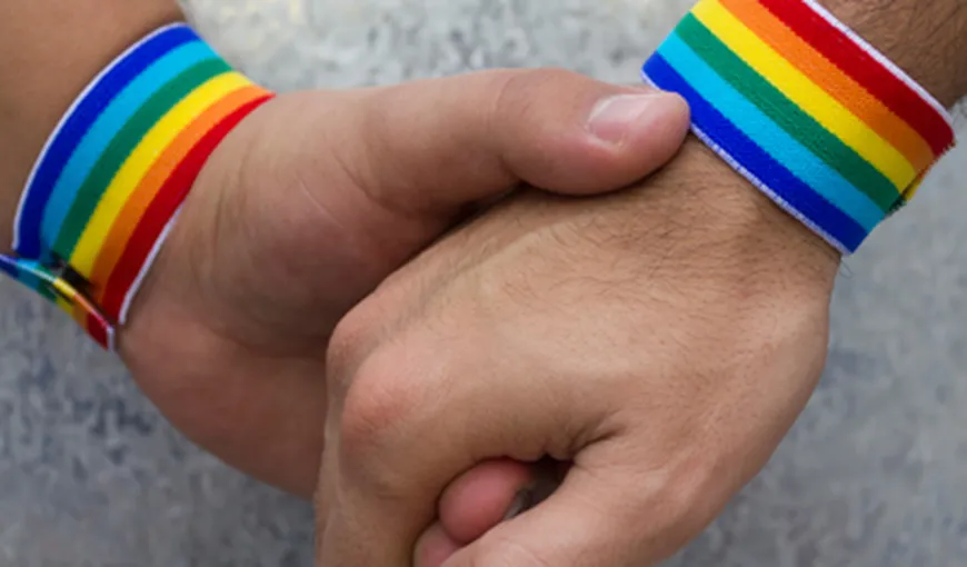Justiţie necruţătoare: Doi olandezi sunt judecaţi în Rusia pentru „propagandă homosexuală”