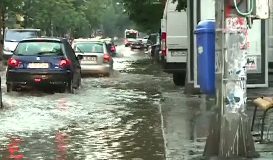 Furtuna a făcut RAVAGII în Bucureşti. Pomi doborâţi de vânt, străzi inundate FOTO şi VIDEO