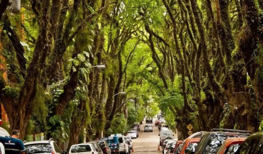 Cea mai frumoasă stradă din lume: O oază în mijlocul unui oraş brazilian FOTO