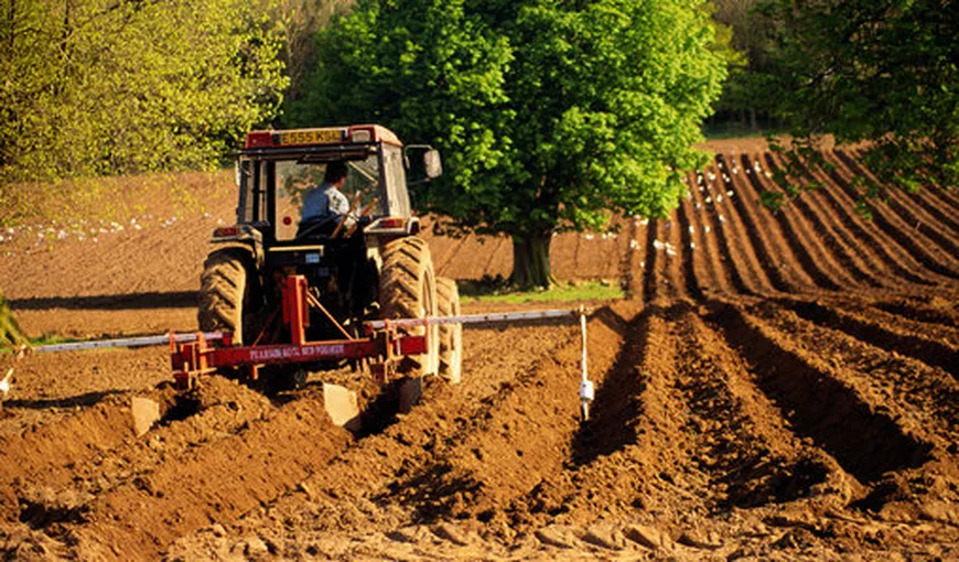 Mii de agricultori au fraudat statul român pentru a obţine subvenţii mai mari