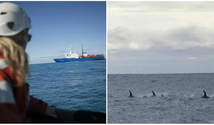 Un spărgător de gheaţă al Greenpeace a înfruntat o navă petrolieră, în Arctica