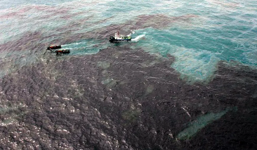Deversare de ţiţei: 70% din recifele de corali dintr-o insulă thailandeză s-au înnegrit FOTO