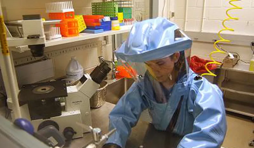Ebola: Un tratament experimental, capabil să protejeze maimuţele, după apariţia simptomelor