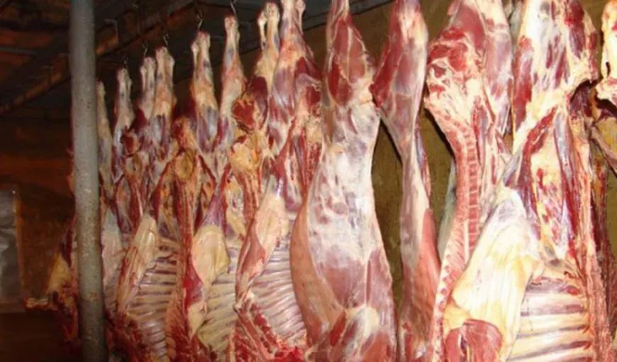 Tone de carne retrase din măcelării şi amenzi imense aplicate de ANSVSA