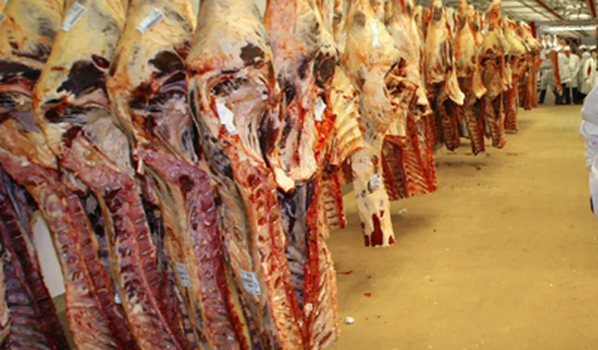 România importă de peste şapte ori mai multă carne de porc decât exportă