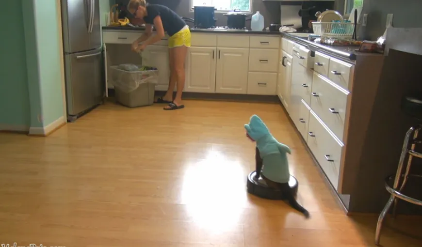 O pisică îmbrăcată în rechin… curăţă bucătăria VIDEO
