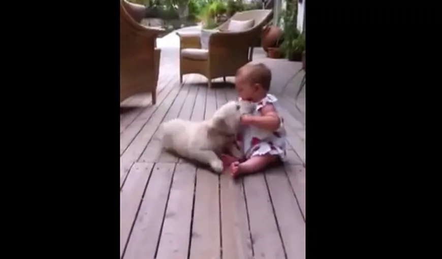Adorabil: Ce face un pui de căţel când întâlneşte un bebeluş VIDEO