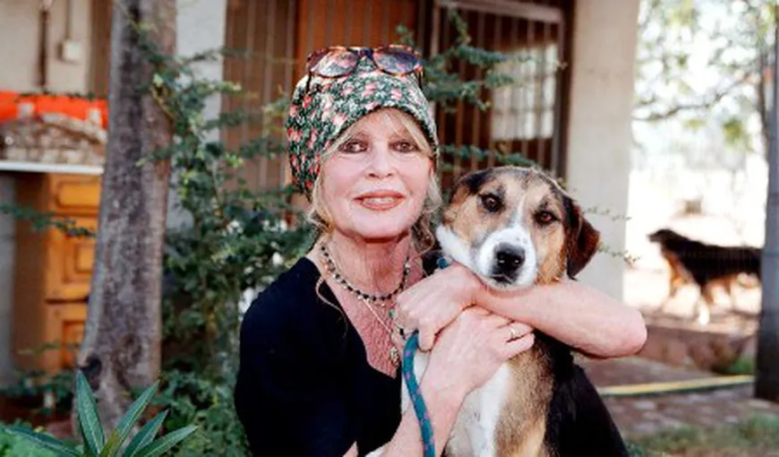 Brigitte Bardot sare din nou în apărarea maidanezilor români. Vezi ce i-a transmis lui Băsescu