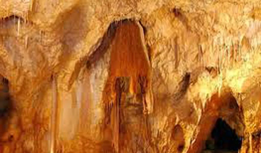 Prima din cele peste 100 de peşteri de mulaj din Defileul Topliţa-Deda va fi deschisă turiştilor