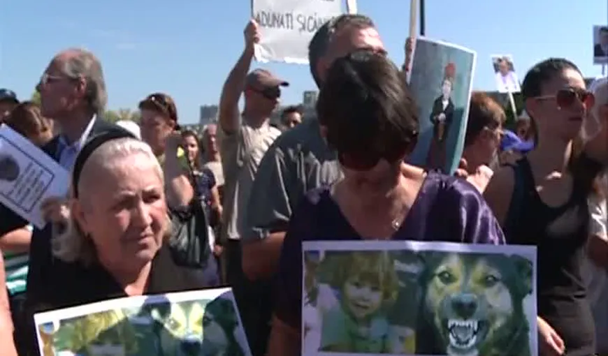 Sute de oameni, în Parcul Izvor, la un nou protest faţă de problema maidanezilor VIDEO