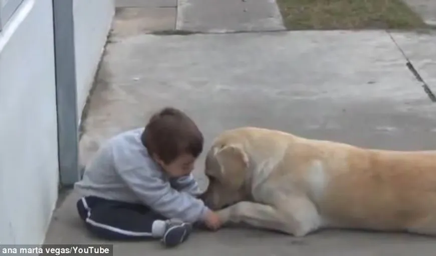 Moment înduioşător: Cum reuşeşte să se împrietenească un căţel cu un copil cu sindromul Down VIDEO
