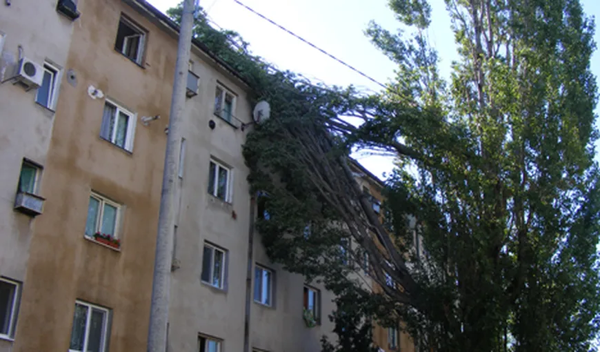 România, afectată de vânt şi ploi: Locuinţe fără curent electric, acoperişuri smulse de vânt şi copaci căzuţi