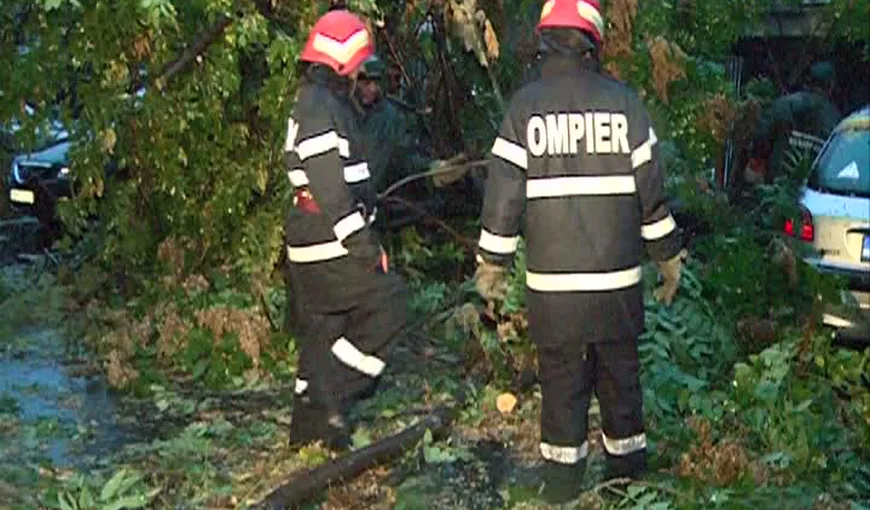 Primăria Sectorului 6 despăgubeşte proprietarii ale căror maşini au fost avariate de copacii căzuţi