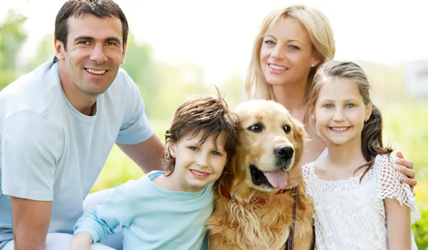 Sfatul dresorului: Ce trebuie să ştii înainte să adopţi un câine