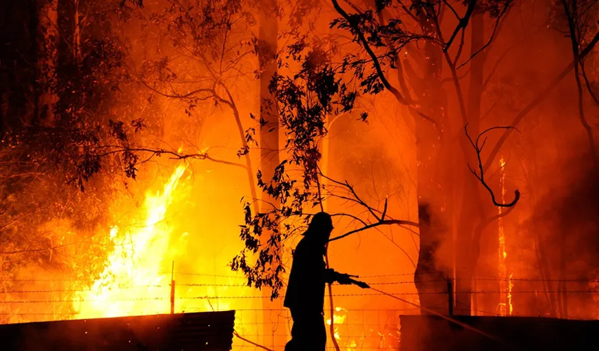 Incendii teribile în Australia: Cel mai mare oraş din ţară este acoperit de un nor uriaş de cenuşă şi fum