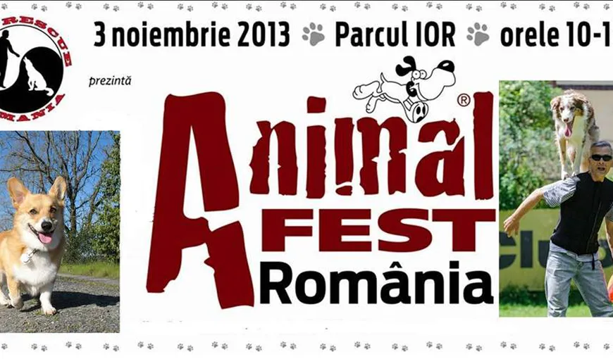 Animal Fest România: Demonstraţii de dresaj, concursuri şi adopţii de câini, la prima ediţie