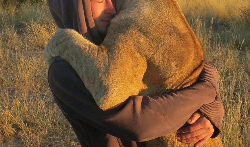 Scene emoţionante în Africa: O leoaică îi îmbrăţişează pe oamenii care i-au salvat viaţa FOTO