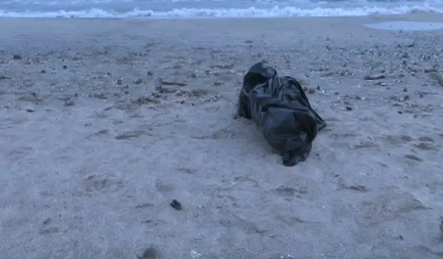 Tristeţe la malul mării: Un delfin mort a fost găsit de un bărbat pe o plajă din staţiunea Mamaia