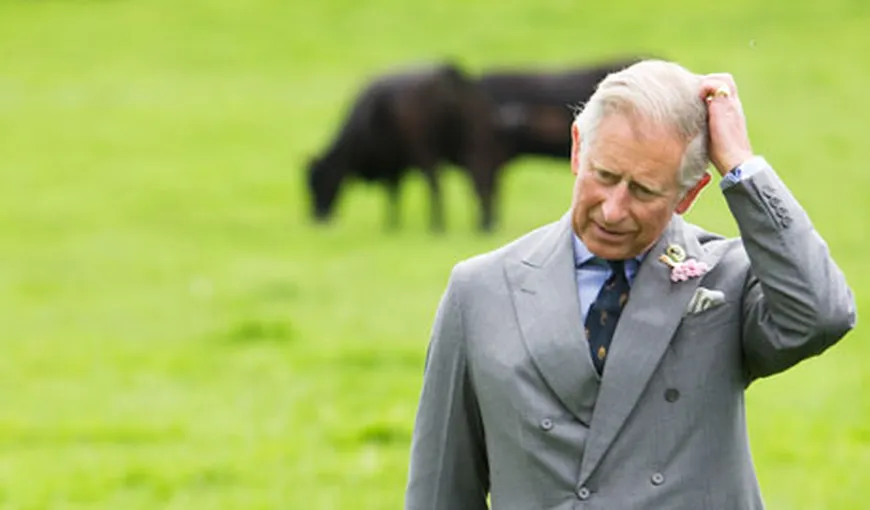 Prinţul Charles, luat LA BANI MĂRUNŢI: Parlamentarii cer să vadă ce IMPOZITE plăteşte moştenitorul regatului