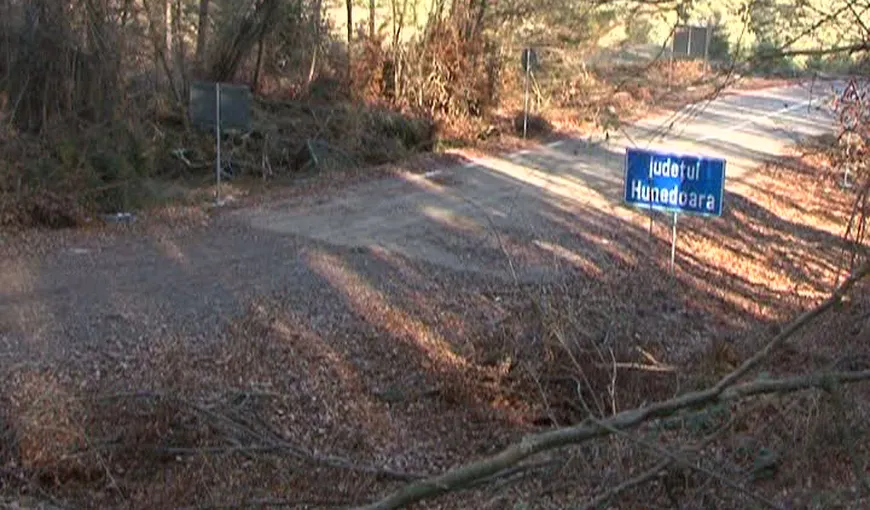 Şoseaua care nu duce nicăieri: 23 de milioane de euro pentru un drum care se termină în pădure VIDEO