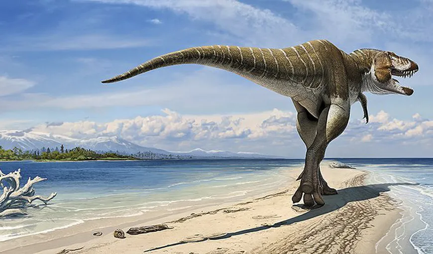 Un nou dinozaur: Cel mai vechi strămoş al lui Tyrannosaurus Rex, descoperit în SUA