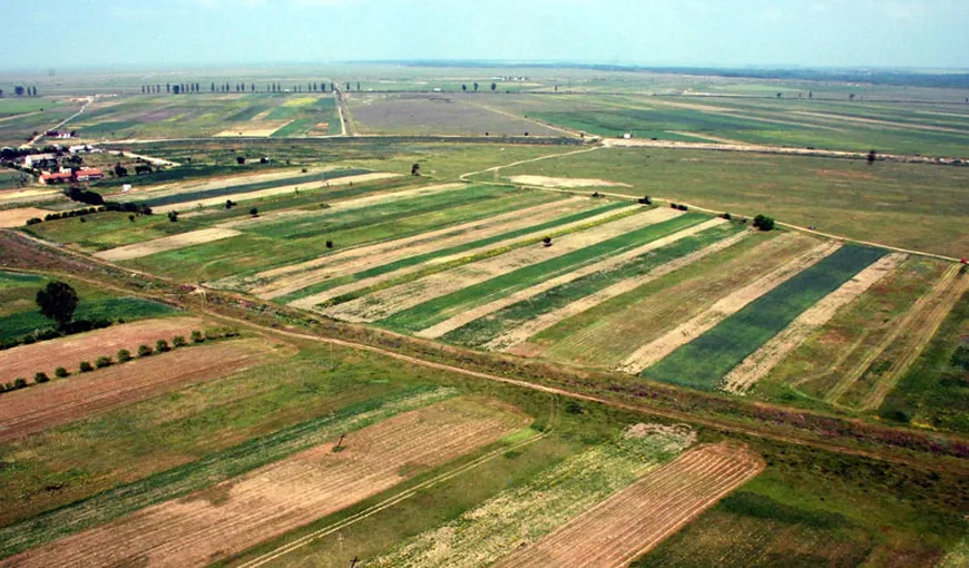 Guvernul a aprobat proiectul care reglementează vânzarea terenurilor agricole către persoane fizice