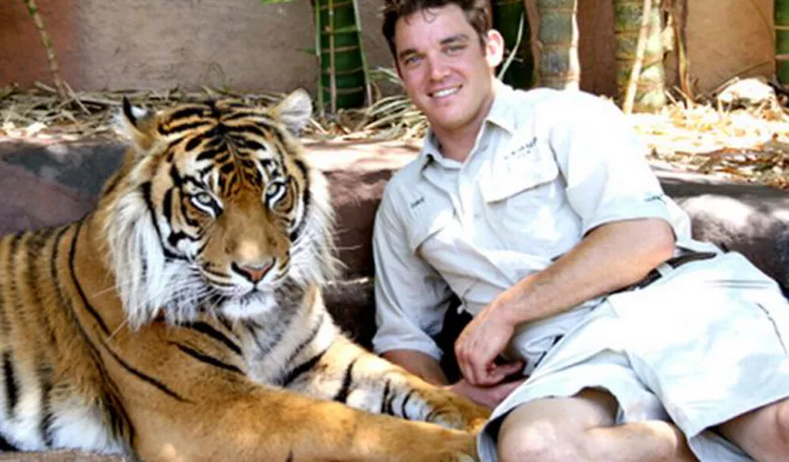 Incident ŞOCANT la grădina zoologică a lui Steve Irwin. Un îngrijitor a fost SFÂŞIAT de un tigru