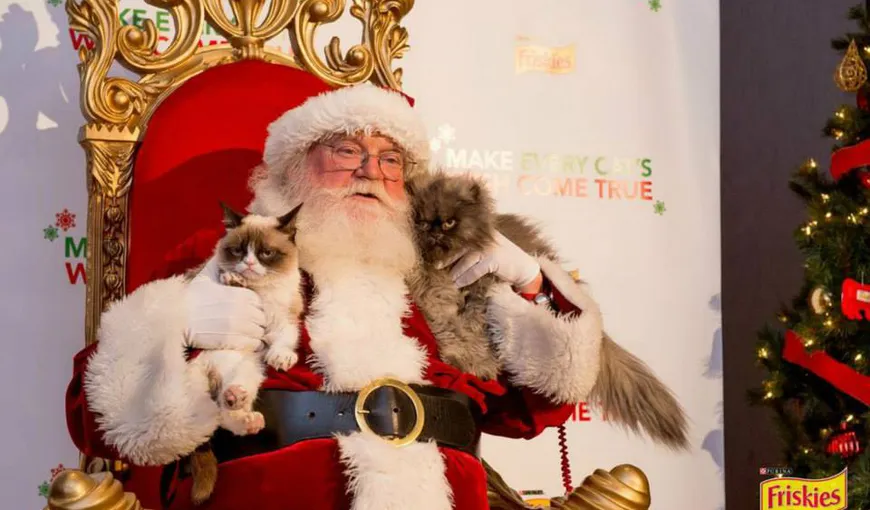 Cele mai faimoase pisici ale globului, Grumpy Cat şi Colonel Meow, într-un videoclip de Crăciun VIDEO