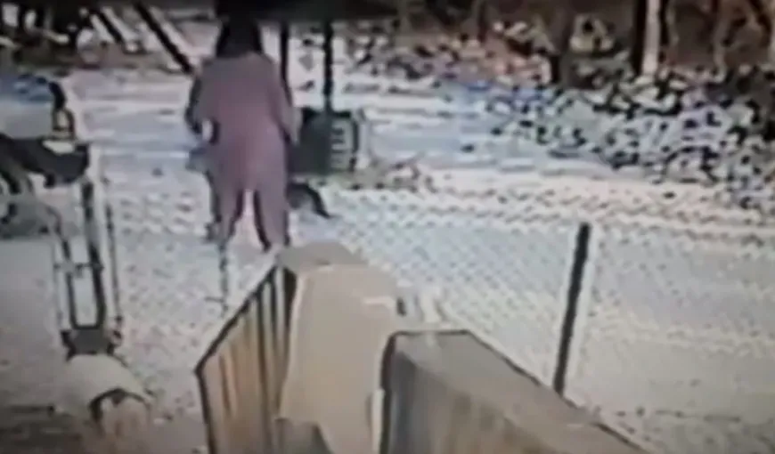 FEMEIE ATACATĂ de o PISICĂ RECALCITRANTĂ. Întreg incidentul a fost surprins de o cameră de SUPRAVEGHERE VIDEO