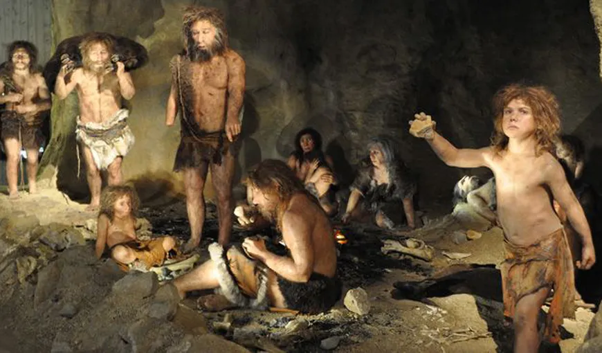 Omul de Neanderthal avea o postură dreaptă, cu o coloană vertebrală similară cu cea a omului modern