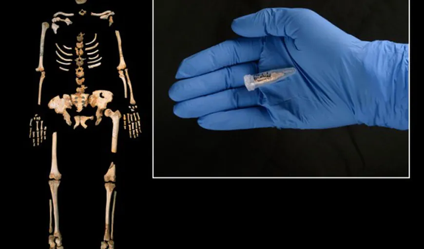 Cel mai vechi ADN uman, descoperit în zăcămintele de la Atapuerca