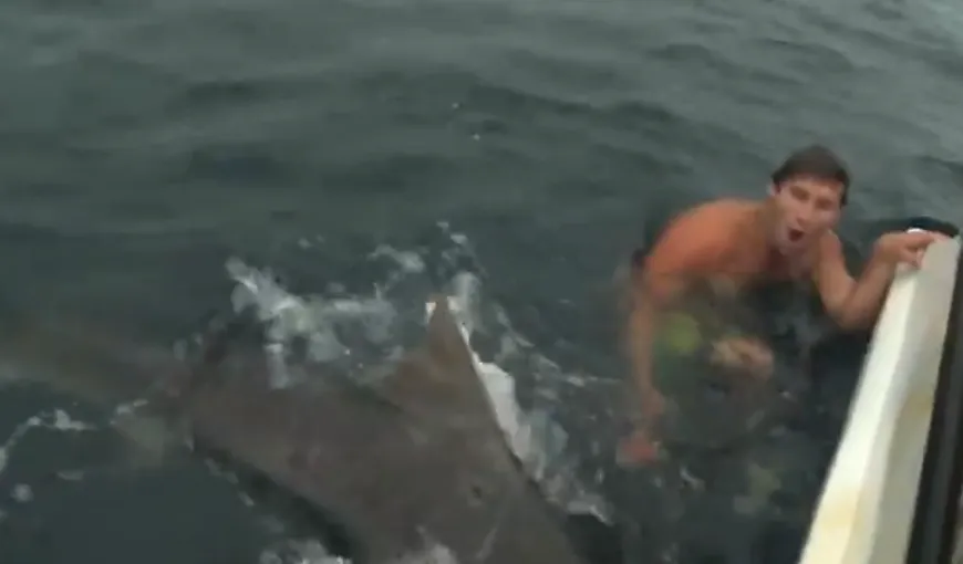 Un bărbat a vrut să înoate alături de un rechin cu o colivie de păsări pe cap. Ce s-a întâmplat VIDEO