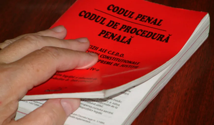 Alina Petrescu despre modificarea Codurilor penale: Mai trebuie să primească avizul Consiliului legislativ