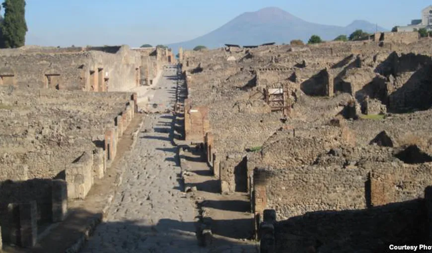 Descoperire ciudată în Pompei: Locuitorii săi mâncau carne de girafă şi de flamingo