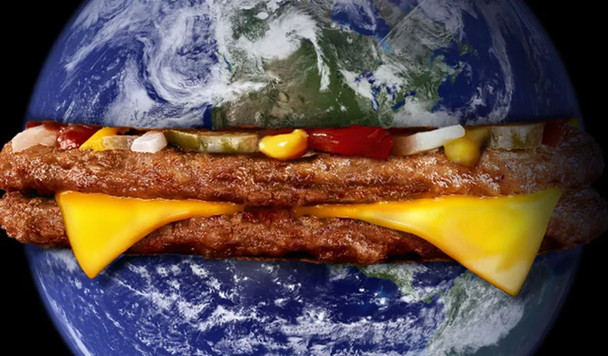 Consumul prea mare de carne distruge planeta