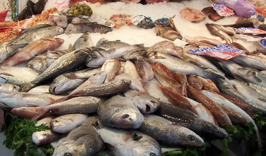 ALARMANT: Peste 80% din PEŞTE conţine un NIVEL PERICULOS DE MERCUR. Vezi care sunt cei mai otrăvitori peşti