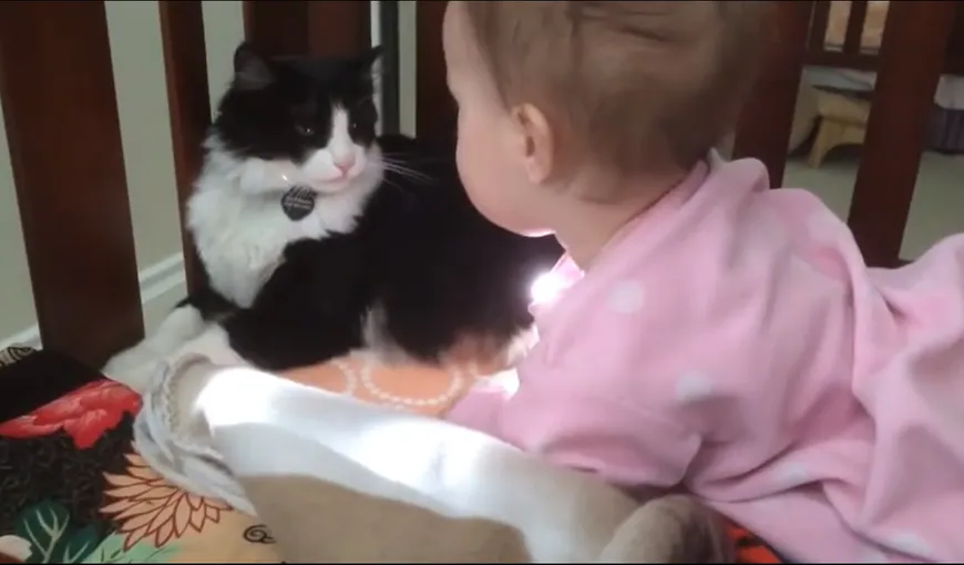 Moment unic din viaţa unui BEBELUŞ, filmat de părinţi: O pisică are grijă de el ca de propriul pui VIDEO