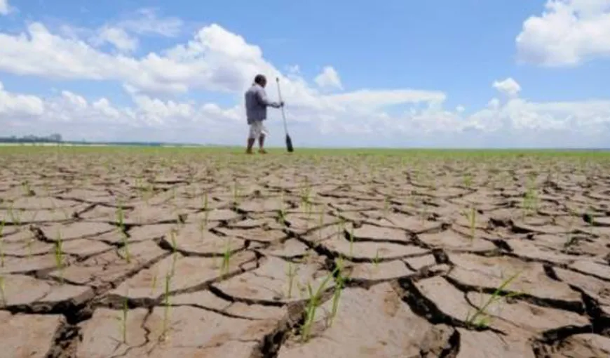 SECETA, efecte DEZASTRUOASE în AGRICULTURĂ: Preţurile alimentelor ar putea sări în aer în 2014