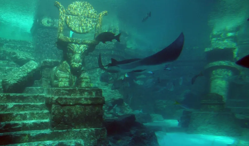 VIDEO. Piramida scufundată din Insulelele Azore. Descoperirea care readuce în atenţie mitul Atlantidei