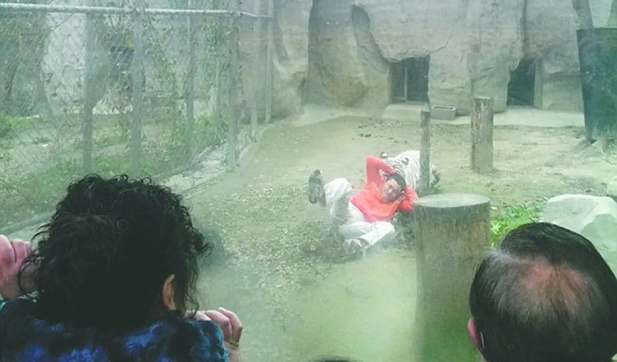 Un chinez s-a aruncat în cuşca tigrilor de la zoo: Vreau să fiu hrana lor FOTO