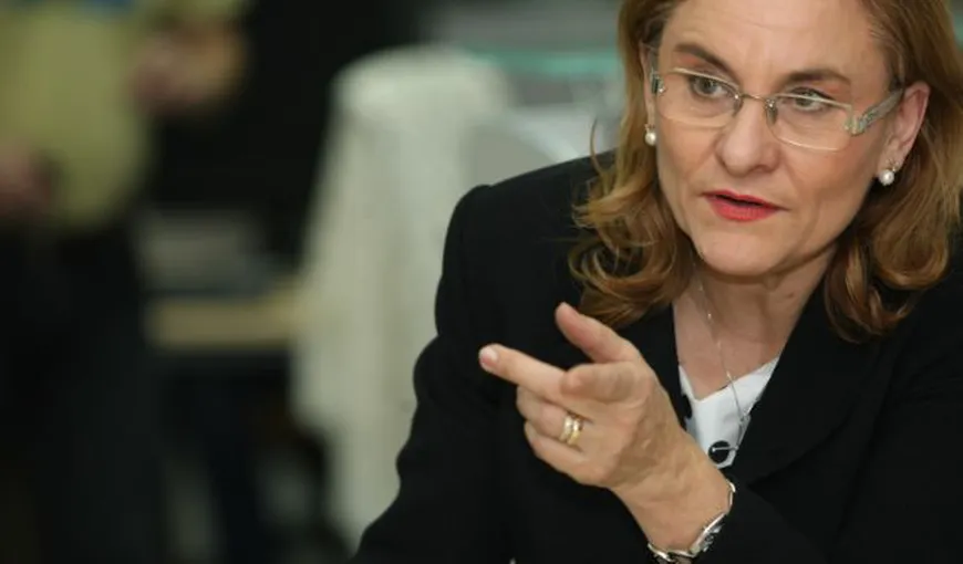 Maria Grapini: Strategia guvernamentală privind IMM-urile este aproape gata