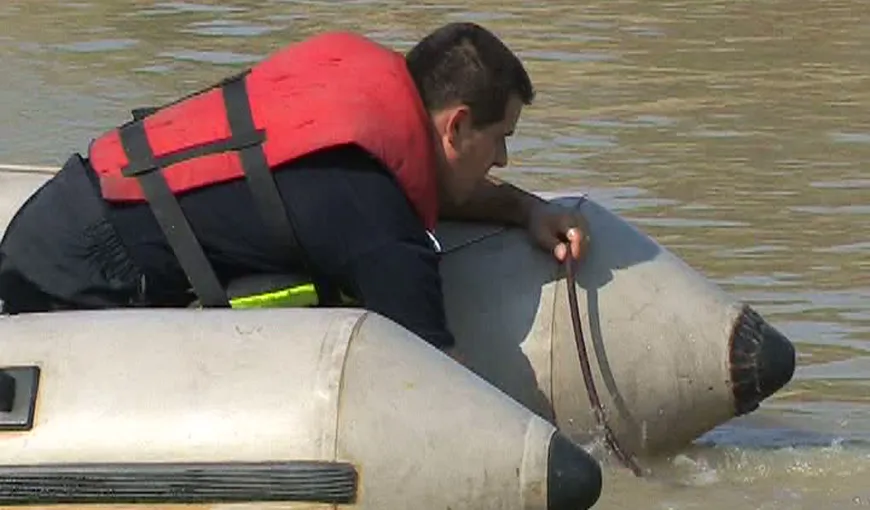 Bărbat căzut în Lacul Mogoşoaia, salvat de pompierii de la ISU Ilfov